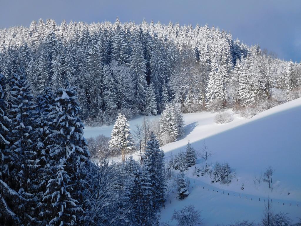 Urlaub Am Bauernhof Blamauer Koehr 伊布斯河畔的戈斯特林 外观 照片